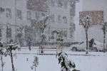 روز برفی  10