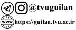لگوی فضای مجازی