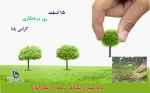 15 اسفند روز درختکاری گرامی باد! 3