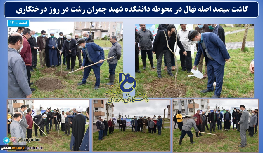 کاشت سیصد نهال در هفته درختکاری سال 1400 در دانشکده شهید چمران رشت  2
