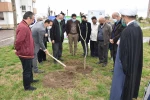 کاشت سیصد نهال در هفته درختکاری سال 1400 در دانشکده شهید چمران رشت  4