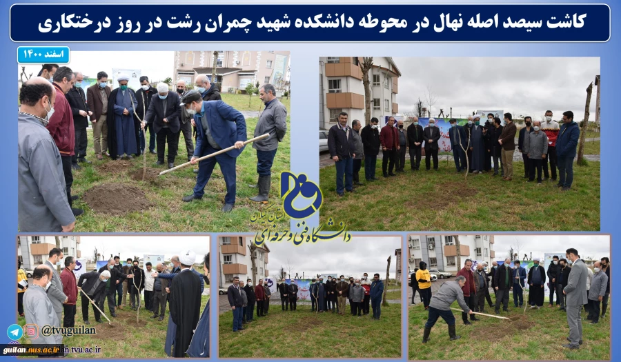 کاشت سیصد نهال در هفته منابع طبیعی و روز درختکاری سال 1400 در دانشگاه فنی و حرفه ای استان گیلان و دانشکده شهید چمران رشت 2