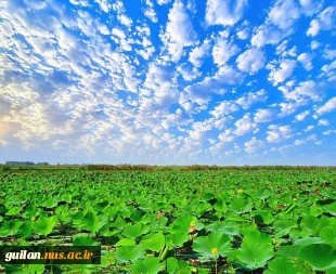 پیام رییس دانشکده ملی مهارت صومعه سرا بمناسبت روز صومعه سرا 11