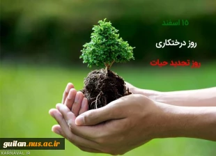 مراسم دختکاری اسفند ماه 1403 2